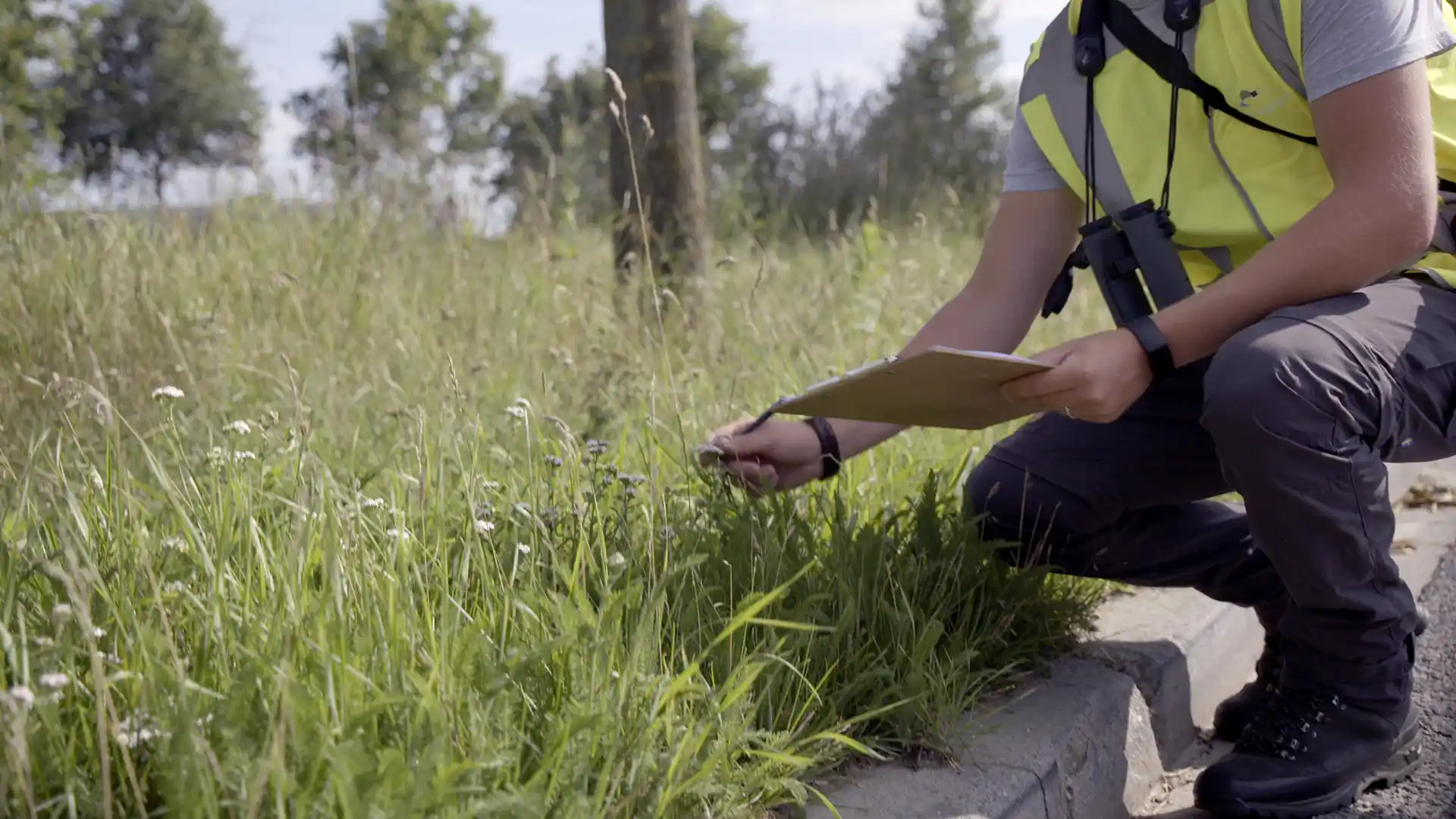 Video thumbnail: 1920 x 852_Eelerwoude_over_ons_03.mp4